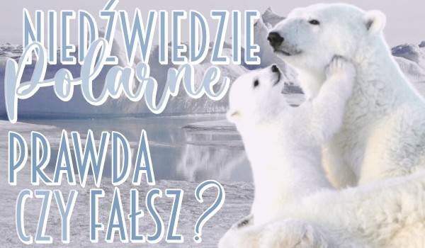 Niedźwiedzie polarne – prawda czy fałsz?