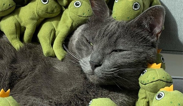 Sprawdz czy lubisz stopki!