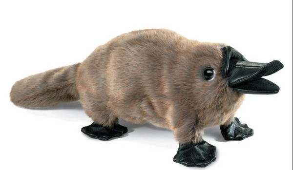 Q&A 2 – Pytanga od @Rachel_Malaya4820