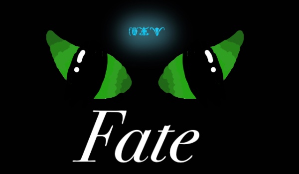 Fate – |Rozdział 4|