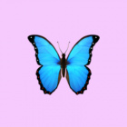 Wojownicy_Hp_fanclub