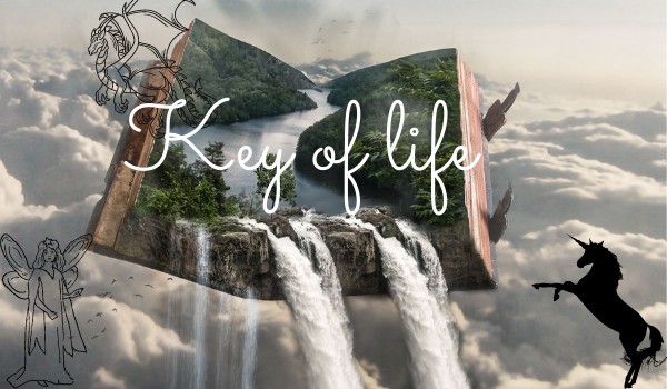 Key of life – przedstawienie postaci