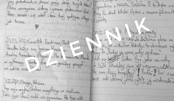 Dziennik-27