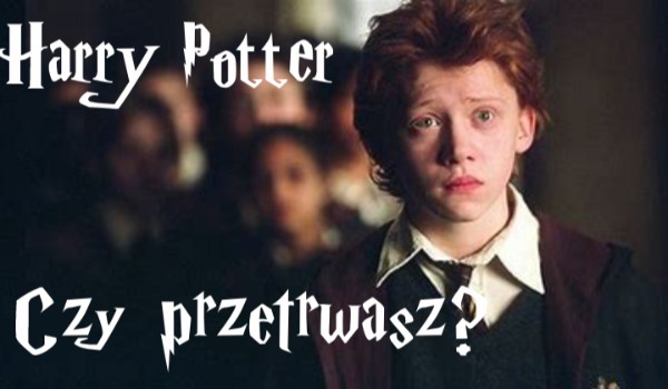 Harry Potter – czy przetrwasz?