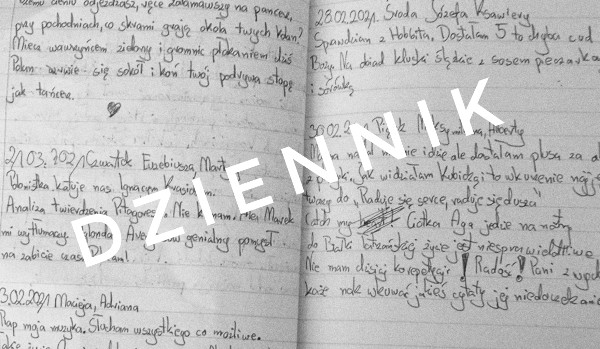 Dziennik-20