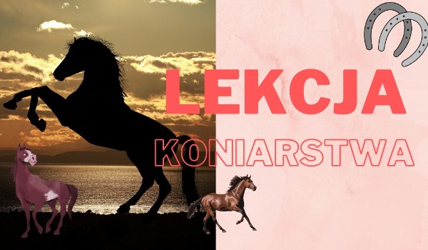 Koniarstwo!