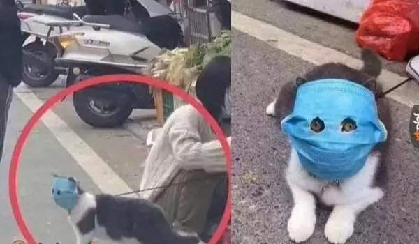 jakim typem osoby jesteś?