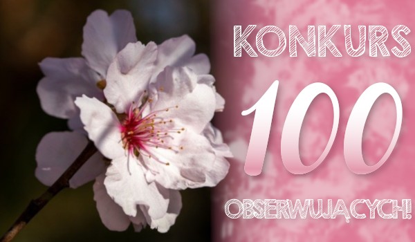 Konkurs – 100 obserwujących – wyniki i rozwiązania
