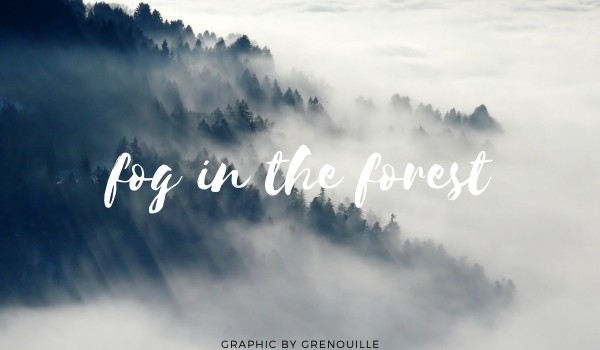 fog in the forest • graphic shop by grenouille