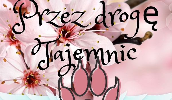 Przez Drogę Tajemnic#2