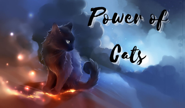 Power of Cats ~ Prolog