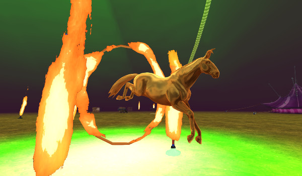 Moje zdjęcia z sso 2#17