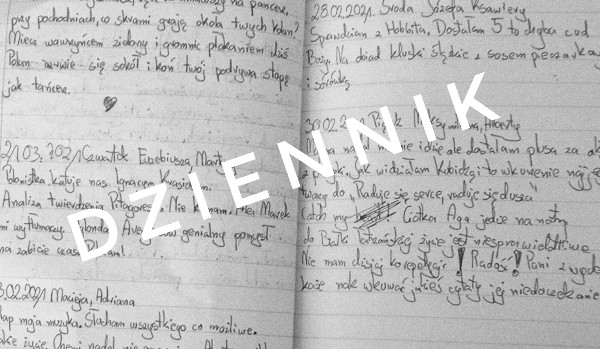 Dziennik-22