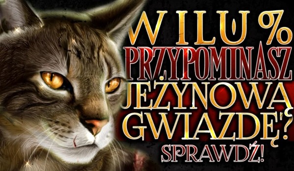 W ilu % przypominasz Jeżynową Gwiazdę?