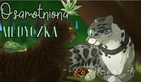 Osamotniona Medyczka ~ Rozdział 4