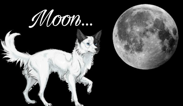 Moon… – Rozdział 4