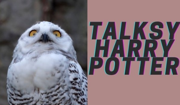Talksy Harry Potter 3
