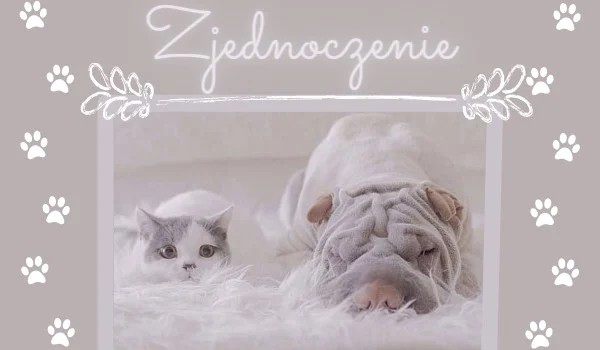 Zjednoczenie • Rozdział 1•