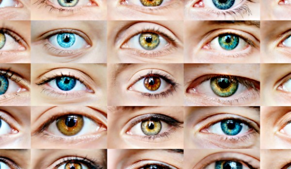 Widzenie organizmów