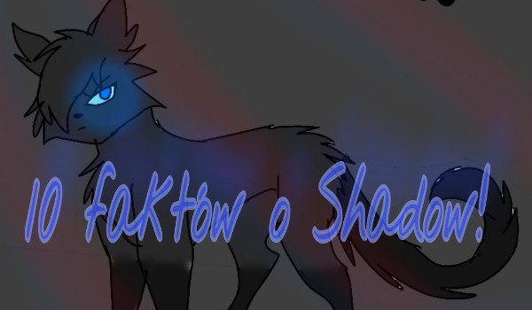 10 faktów o Shadow!