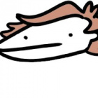 MagWpl