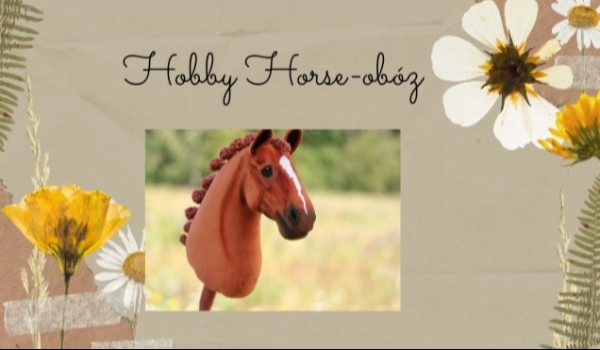 Zapisy na obóz-Hobby Horse!
