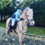 Natix_equestrian