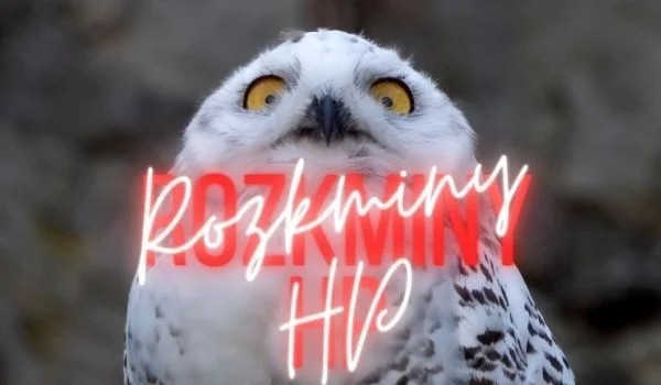 Rozkminy HP #2