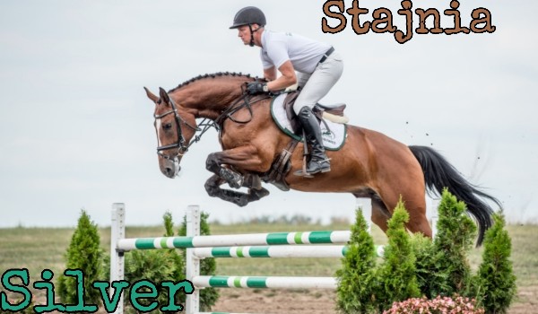 Stajnia Silver  |CZĘŚĆ 2|