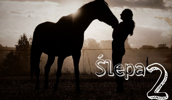 Ślepa – Rodział 2 „Wsiadłam!”