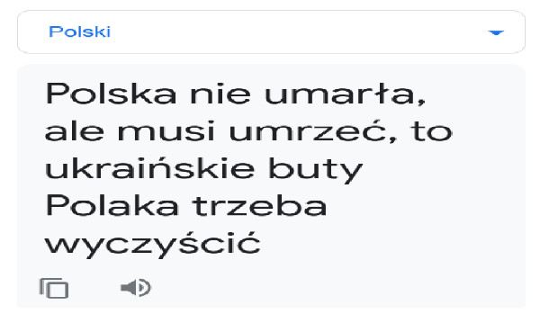 Żaba na motocyklu część 978764576879098765