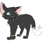Cloud_Clan_Oficial_.