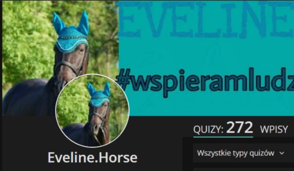 Wywiad z @Eveline.Horse