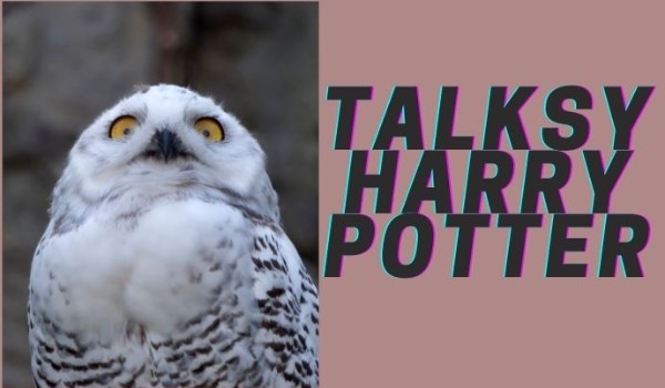 Talksy Harry Potter 4