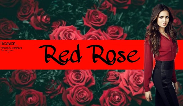 Red rose #7