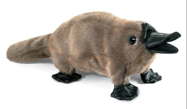 Q&A 2 – Pytanga od @.ramune.