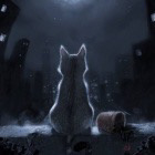 .Night.Cat.To.Gowno.