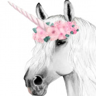 kawaiiunicorn2010