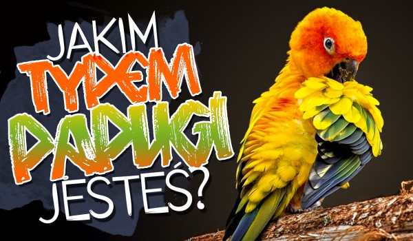 Jaki typ papugi przypominasz?