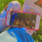 x_viqks_x