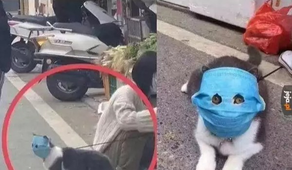 Który Kolor do ciebie pasuje?