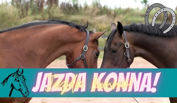 Jazda konna