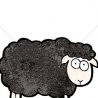SweetSheep