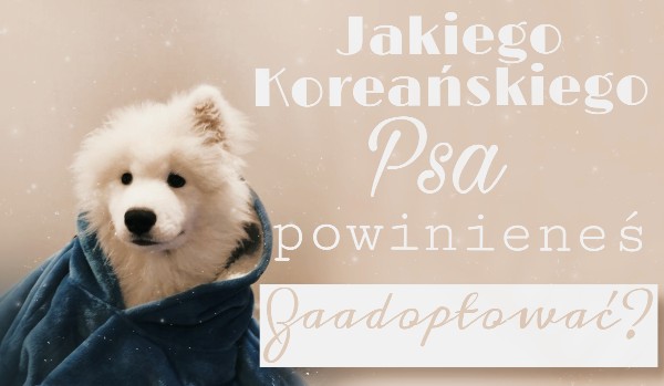 Jakiego Koreańskiego psa powinieneś zaadoptować?