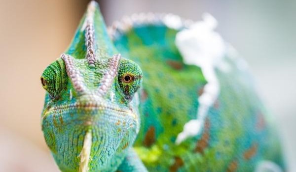 Magic Life – rozdział 3