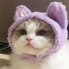 Purple.Miss