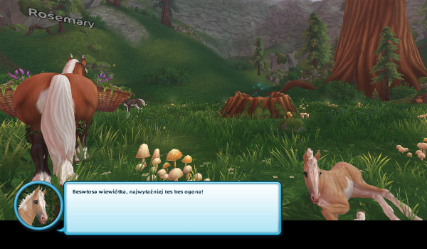 Moje zdjęcia z sso 2#21