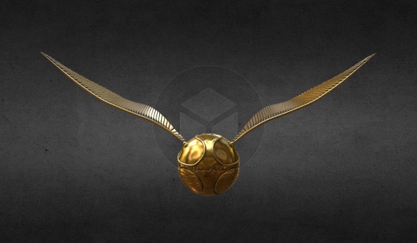 Which one I should choose? #1