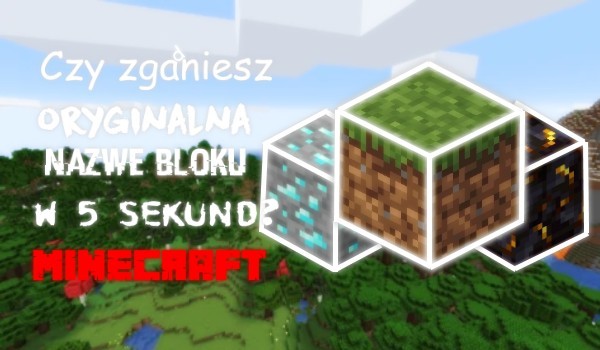 Czy zgadniesz oryginalną nazwę bloku z Minecrafta w 5 sekund?