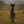_.warriors._cats._
